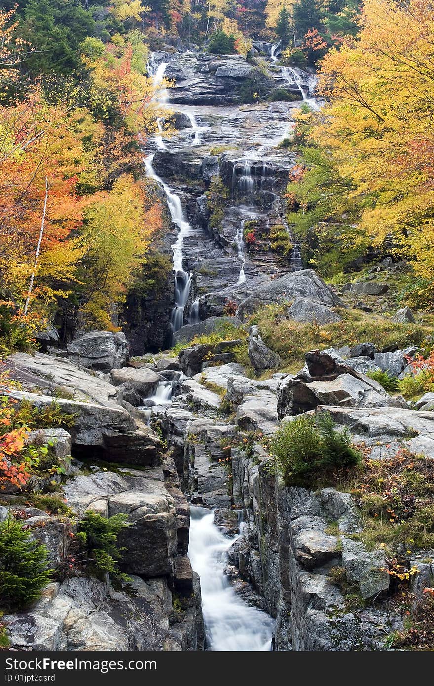 Silver Cascade Fall Color