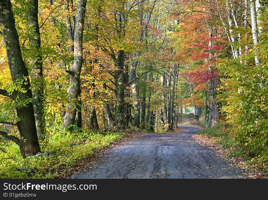 Fall Color Along Road In Sugar Hill