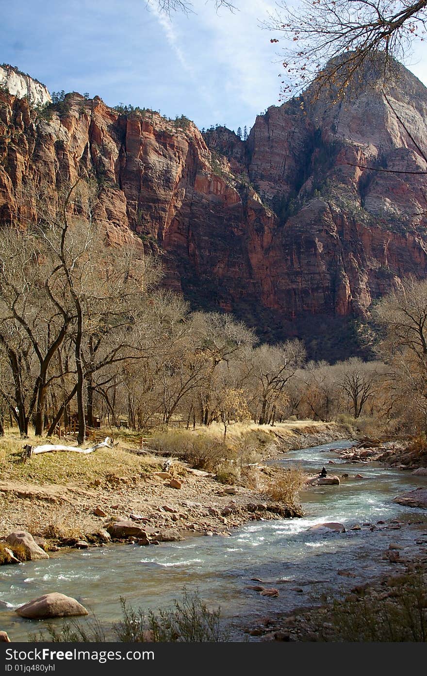 Zion National Park Landscape in California