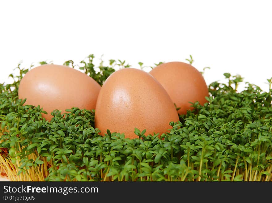 Cress And Eggs