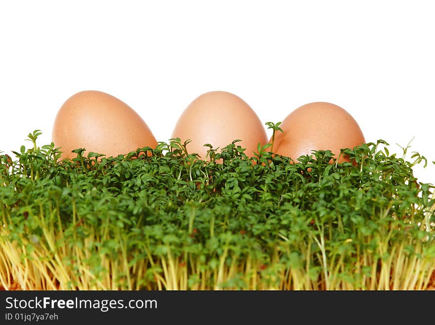 Fresh green cress and three easter eggs isolated on white background. Fresh green cress and three easter eggs isolated on white background