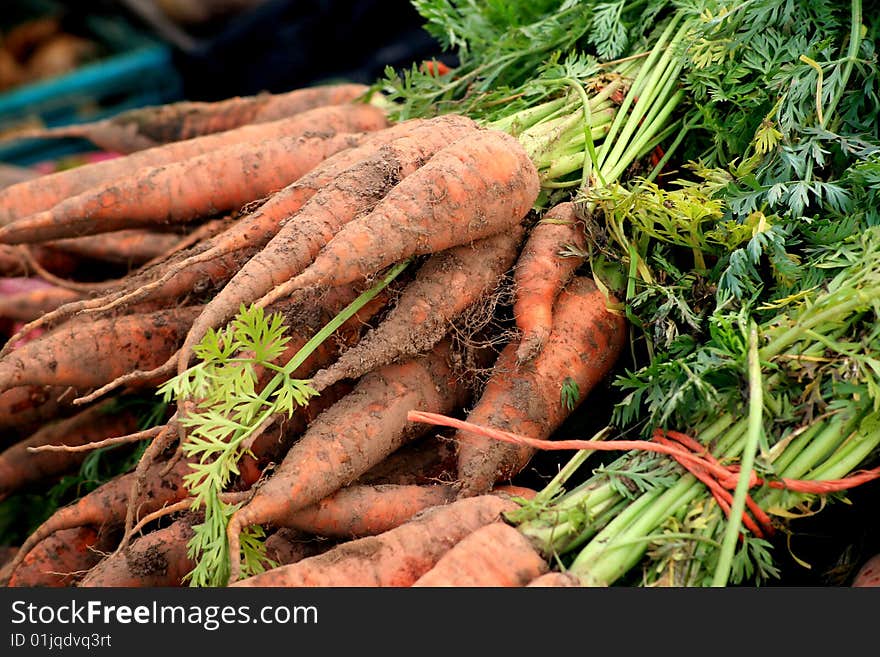 Fresh carrots