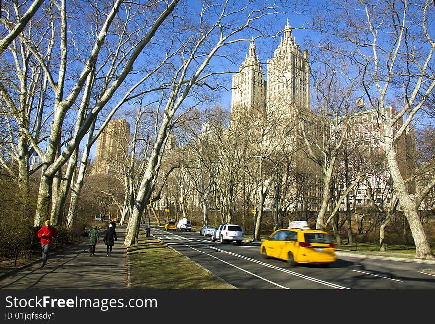 View of Central Park in New York city.