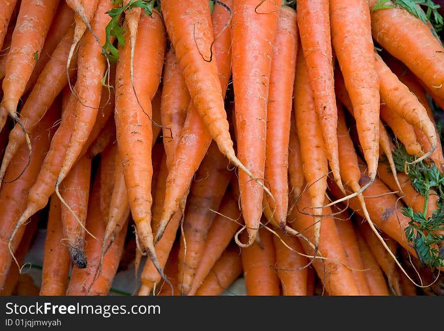 Fresh organic carrots in farmers market. Fresh organic carrots in farmers market