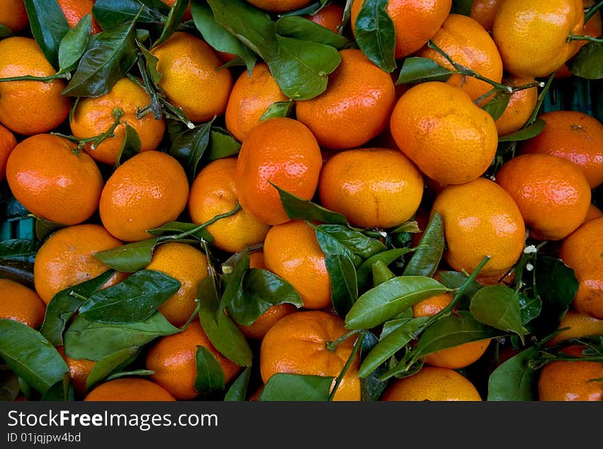 Fresh Market Mandarin citrus fruit with leaves. Fresh Market Mandarin citrus fruit with leaves