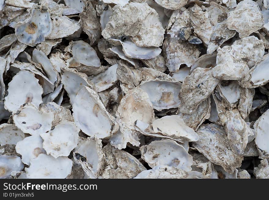 Empty Oyster Shells