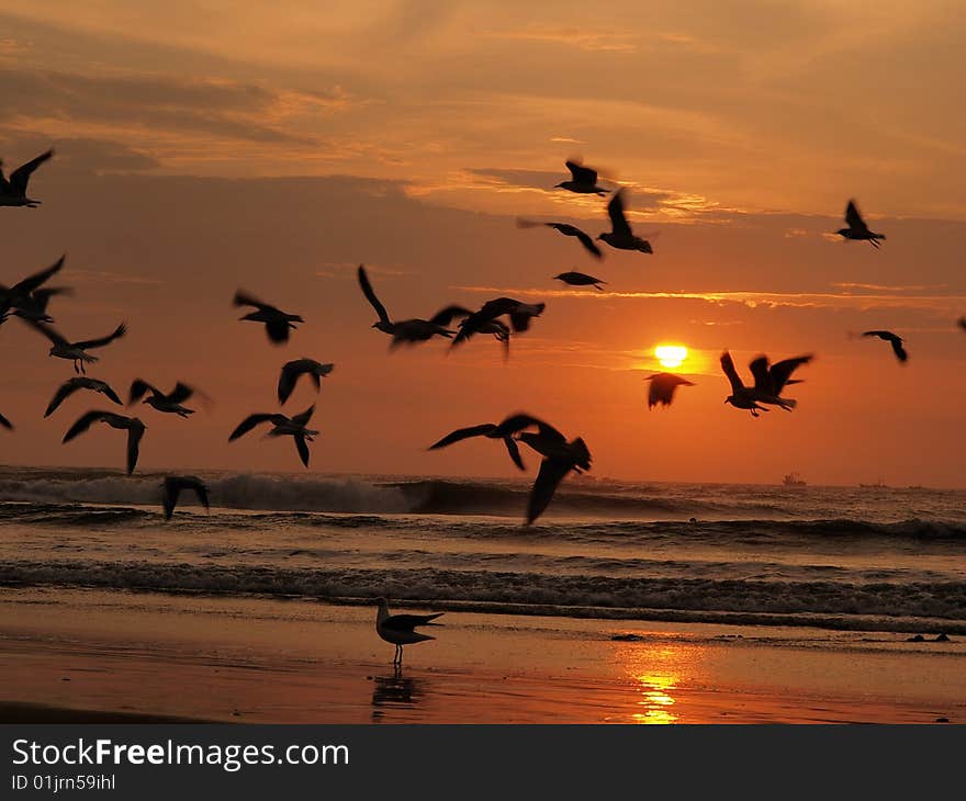 Sunset on a beach in South America. Sunset on a beach in South America