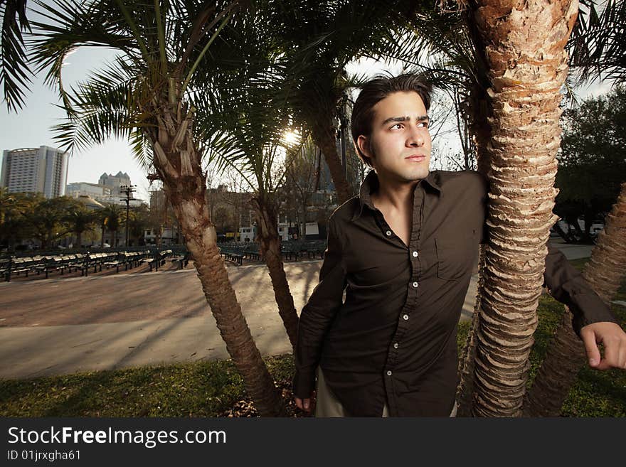 Young man in a park next to a palm tree. Young man in a park next to a palm tree