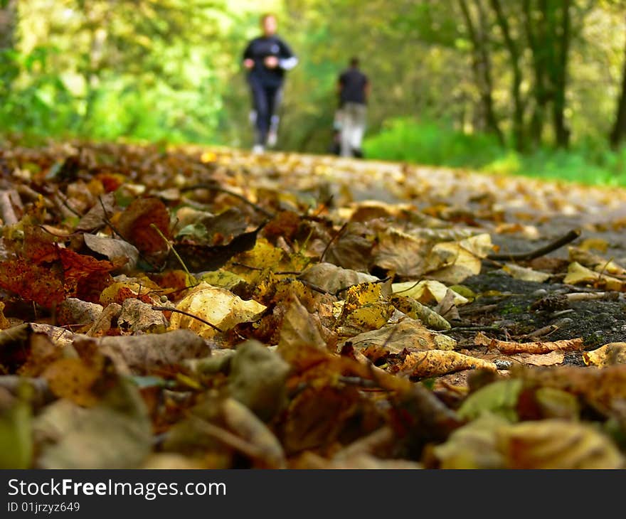 Autumn foliage and sportsman