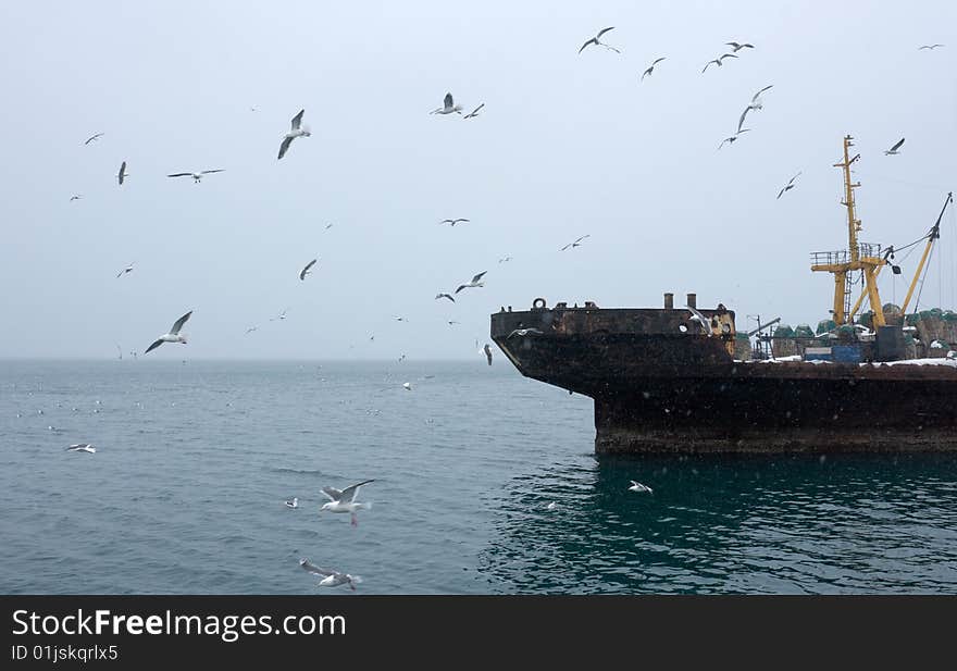 Industrial ship beside coast Kamchatka during snowfall