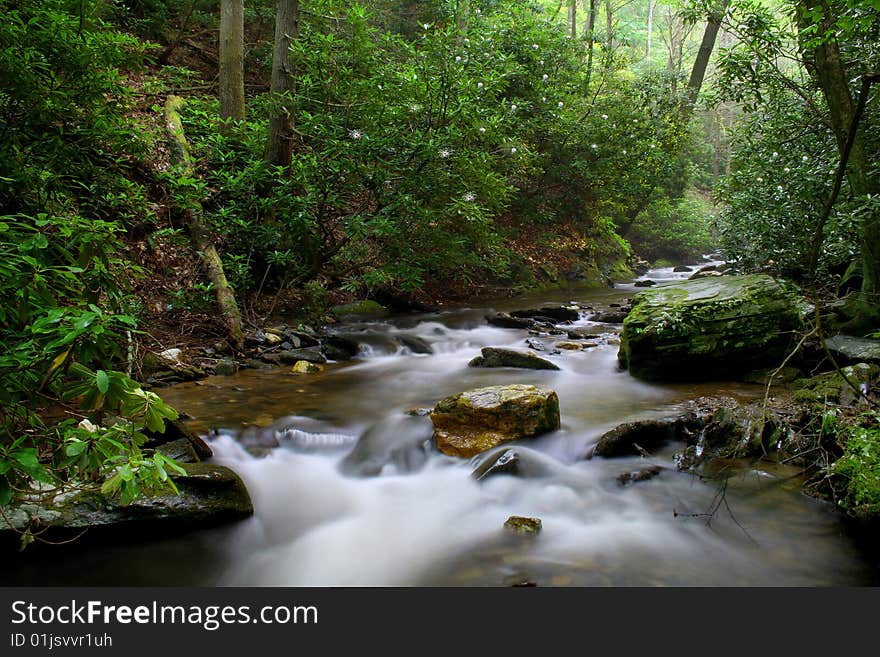 Creek deep in the woods on a summer day with the Rhododendron in bloom. Used a slow shutter speed for a smooth look on the water. Creek deep in the woods on a summer day with the Rhododendron in bloom. Used a slow shutter speed for a smooth look on the water.