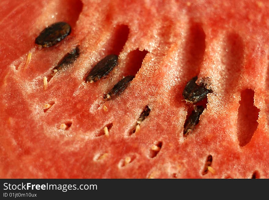 Watermelon close-up