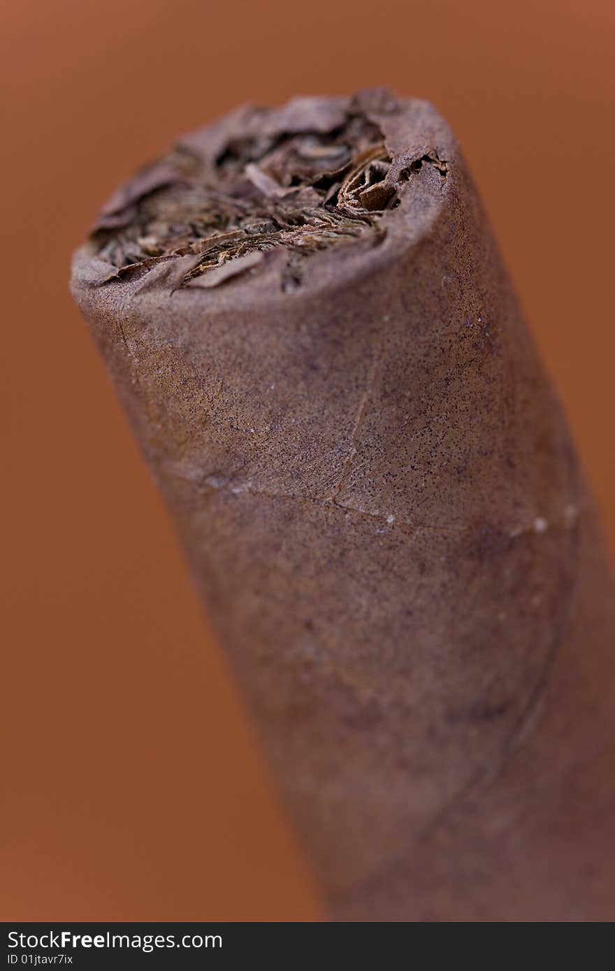 Havana cigar