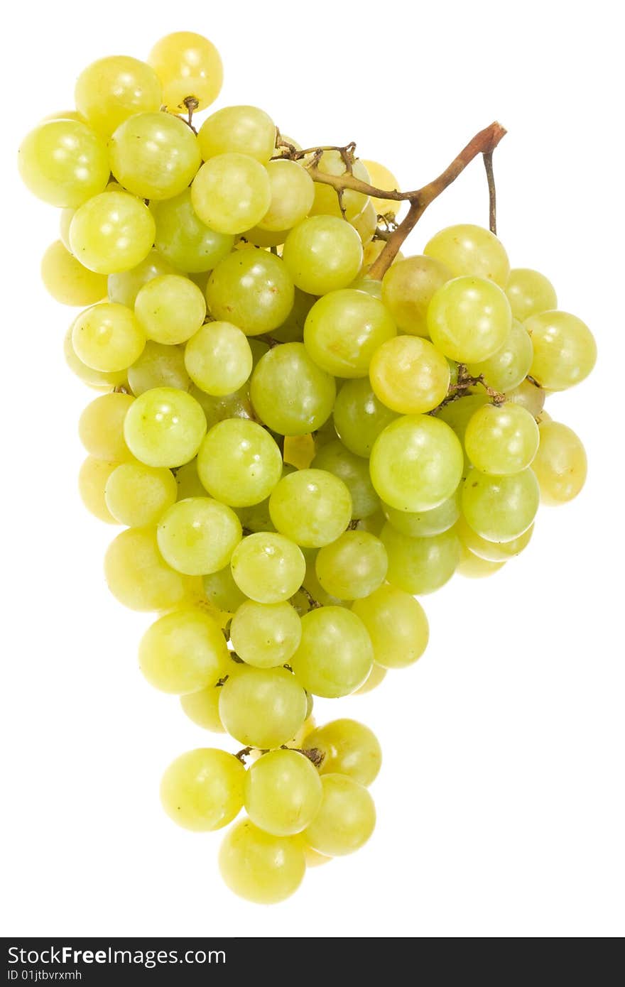 Green grapes on a white background. Green grapes on a white background.