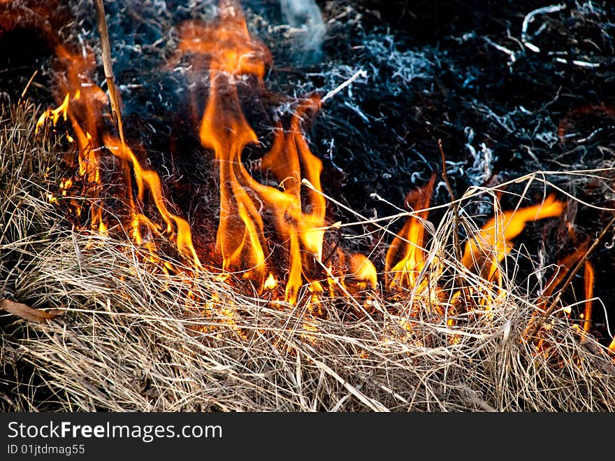 Burning grass