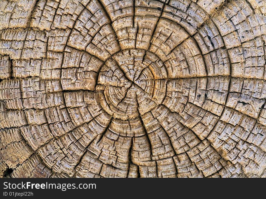 Wood texture