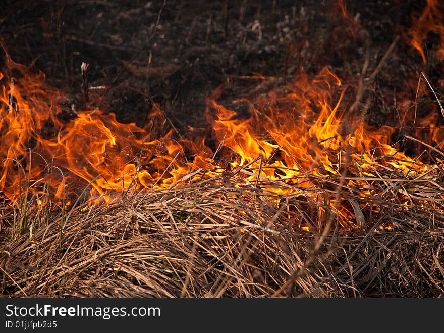 Burning grass