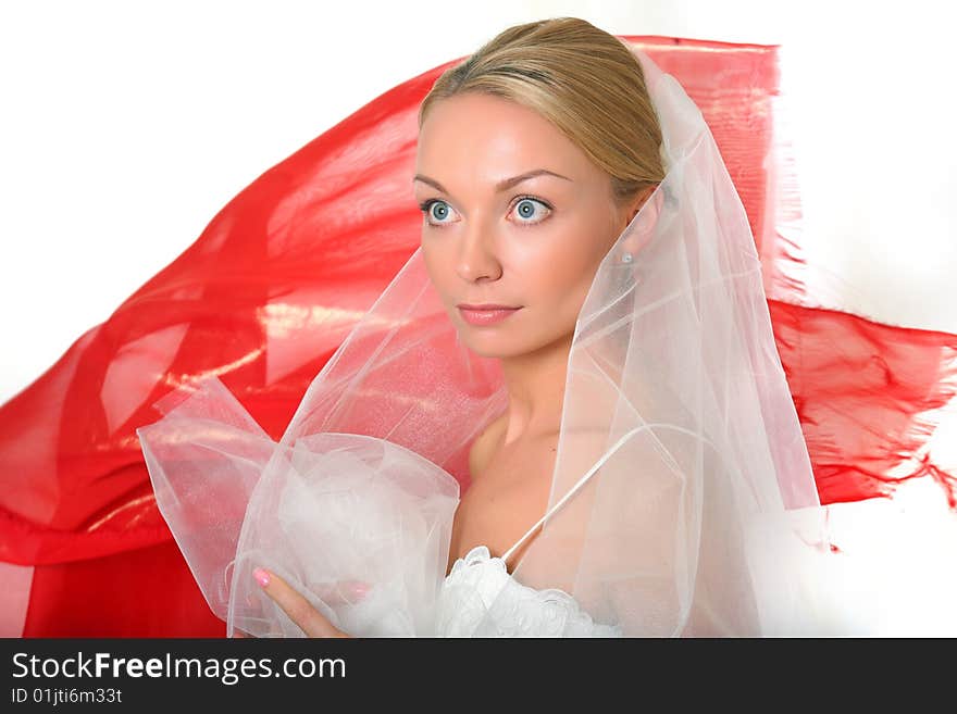 Beautiful young blonde in a veil, isolated on a white background, please see other photos of this series. Beautiful young blonde in a veil, isolated on a white background, please see other photos of this series