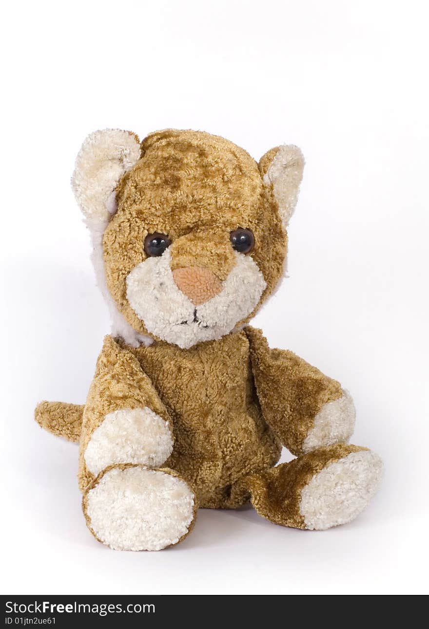 Toy bear brown colour on white background