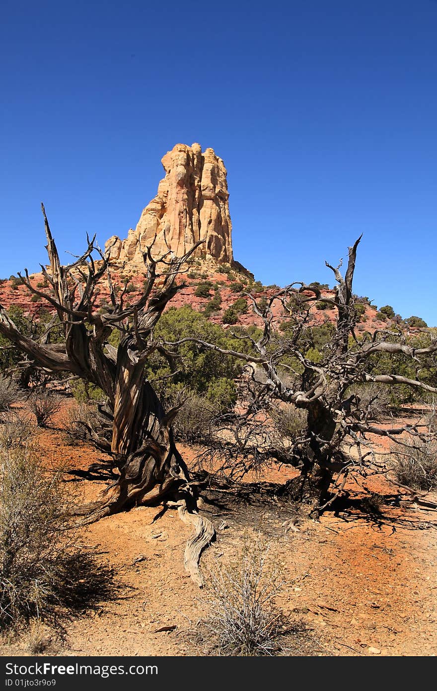 View  of red rock formations in San Rafael Swell with blue sky�s