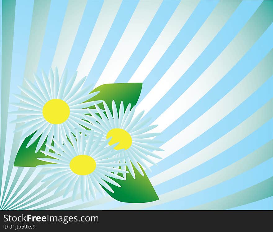 A bouquet of blue flowers. Vector illustration