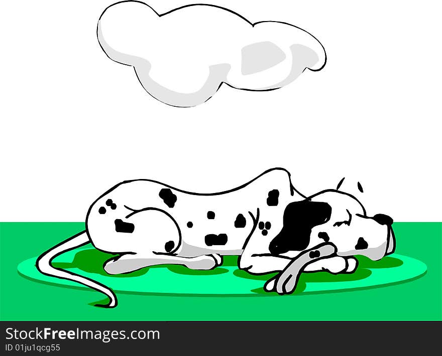 Dalmatian dog sleeping on green grass