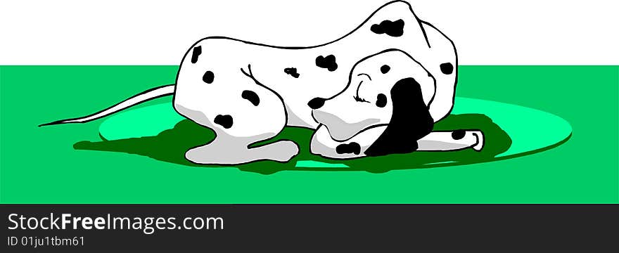 Dalmatian dog sleeping on green grass