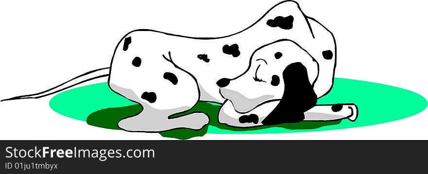 Dalmatian dog sleeping on green grass