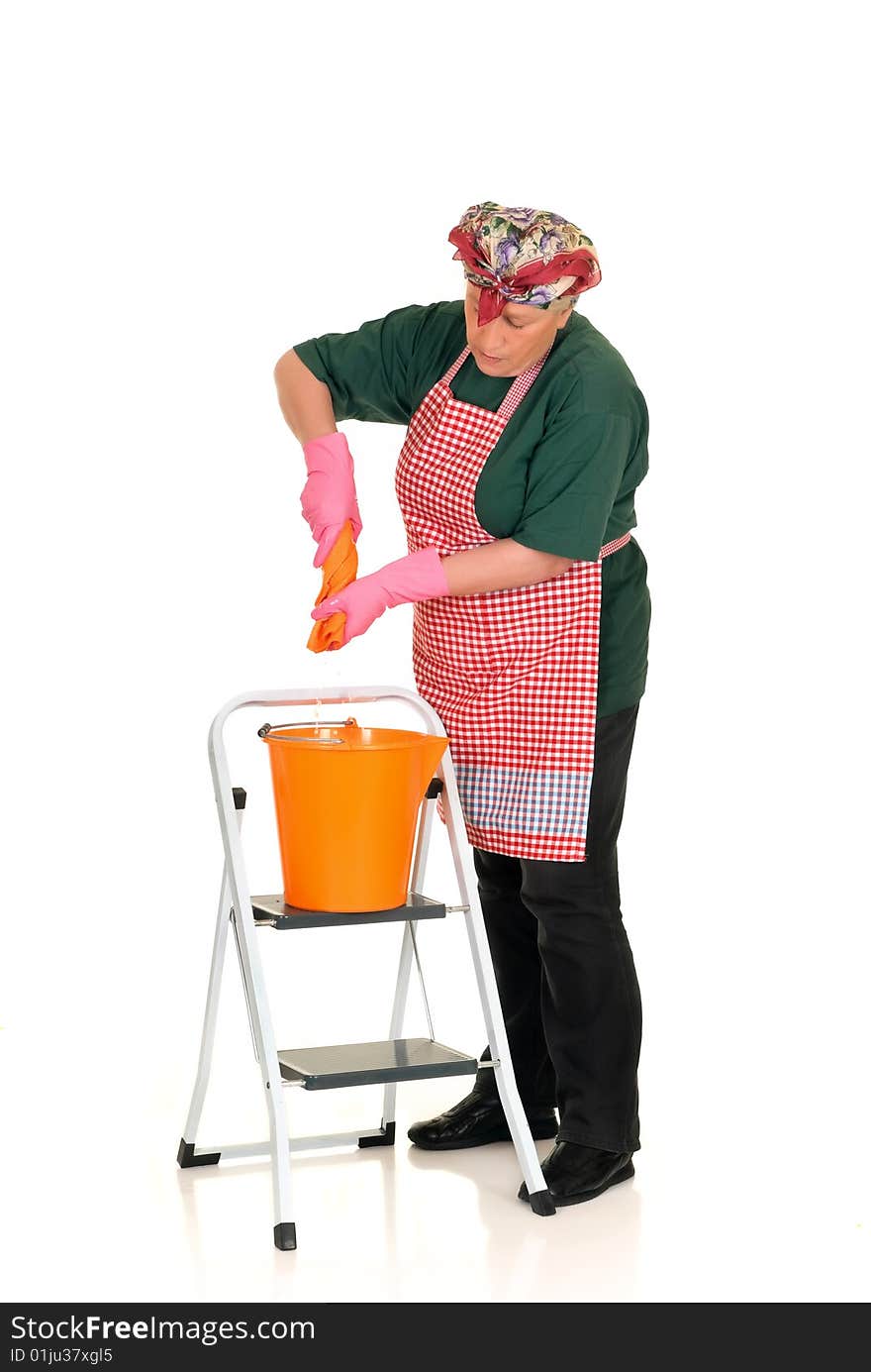 Middle aged housewife with cleansing tools doing household. Middle aged housewife with cleansing tools doing household