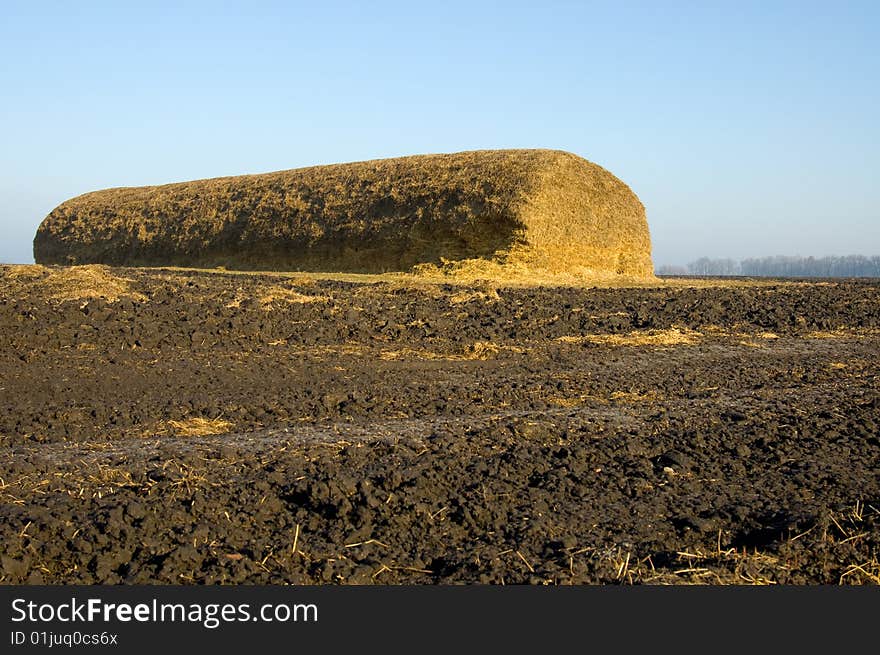 Haystack in the field