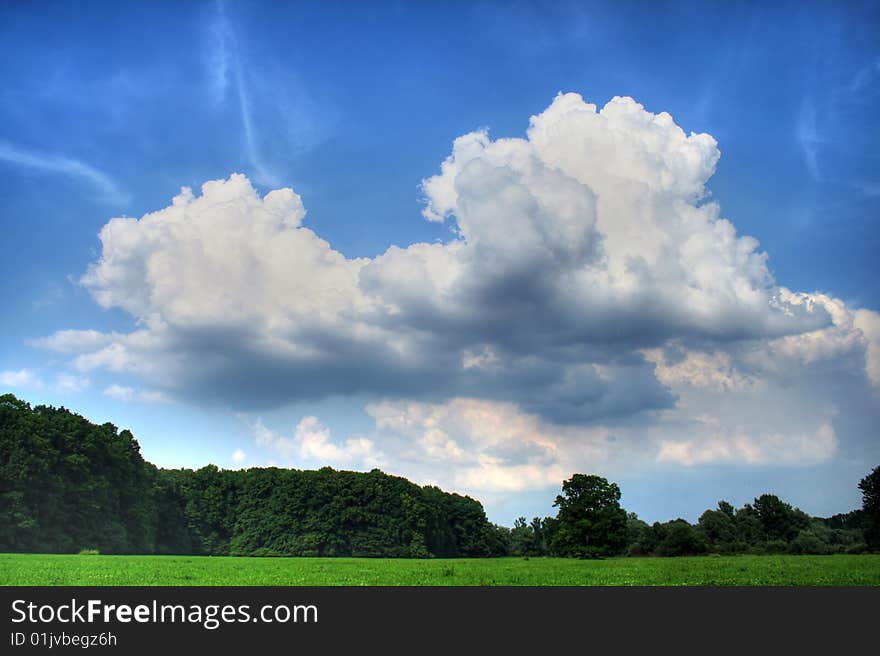 Beautiful cloud above solitaire mystical tree