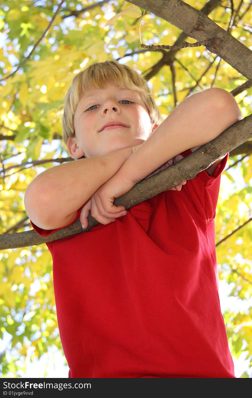 Boy in tree