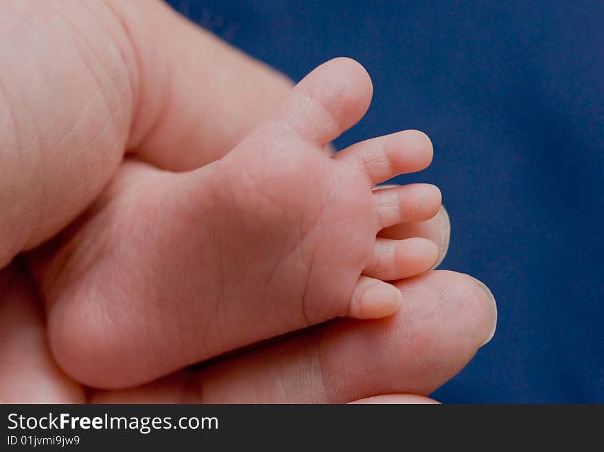 Babyfeet in an adult hand. Babyfeet in an adult hand