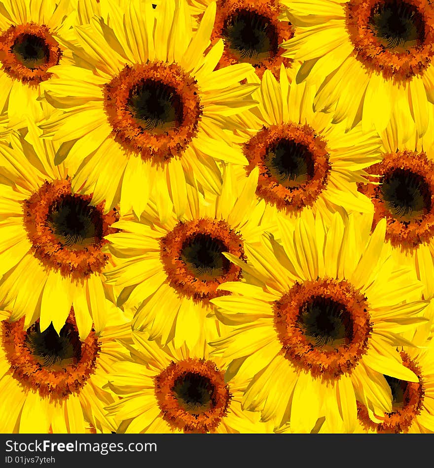 Sunflower abstract in summer forming a background.