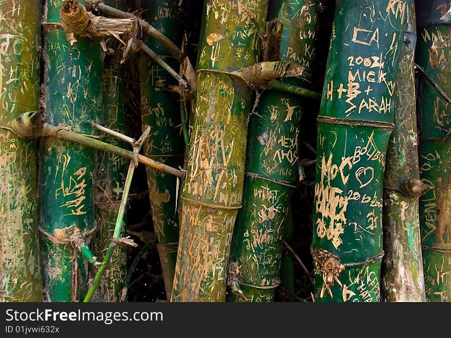 Signs on bamboo in national park