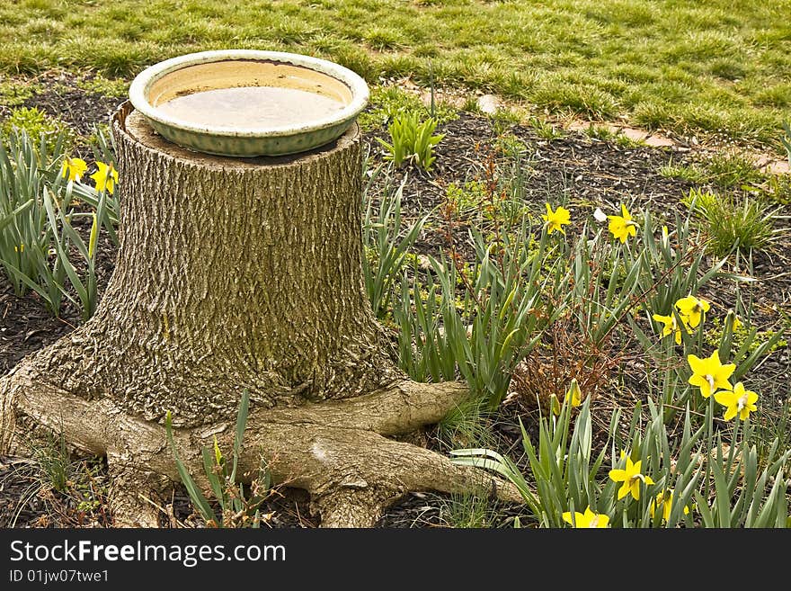 Ceramic bird dish filled with water for birds atop a tree stump in a flower garden