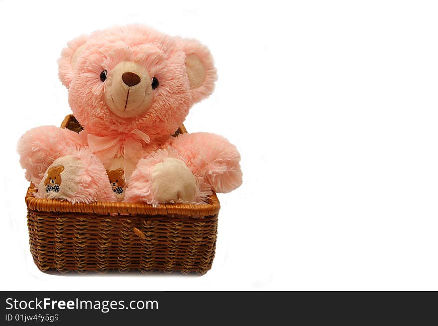 The Pink Bear Sitting In A Box