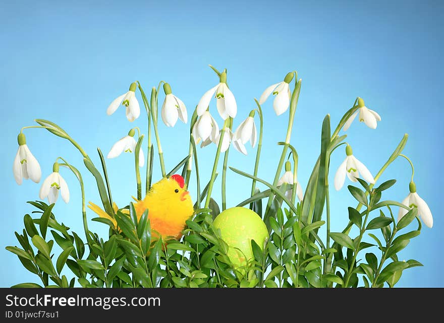 Chicken and eggs on the blue background, easter season, colored eggs. Chicken and eggs on the blue background, easter season, colored eggs