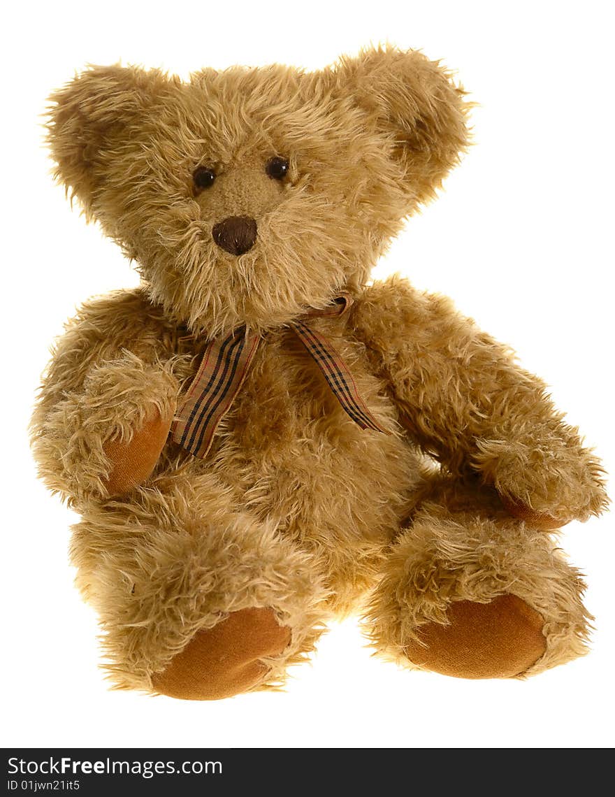 Teddy Bear