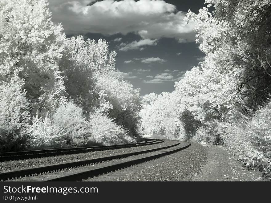 Infrared Railroad Tracks And Trees