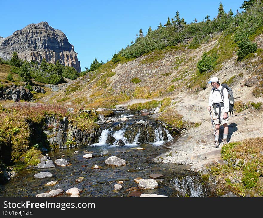 Hiker In The Canadian Rockies