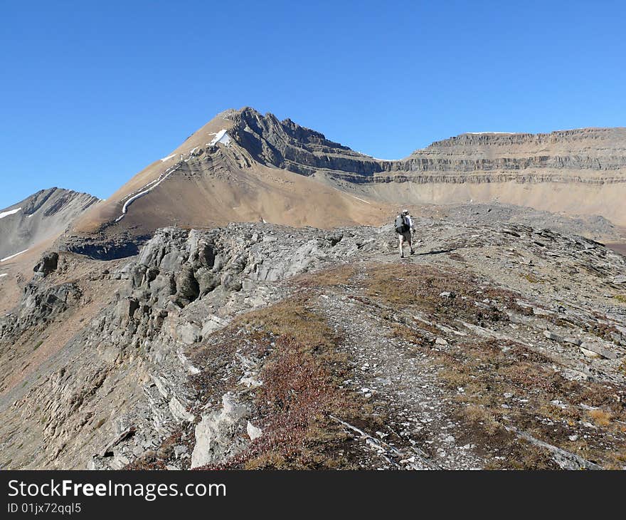 Hiker in the Canadian Rockies above treeline