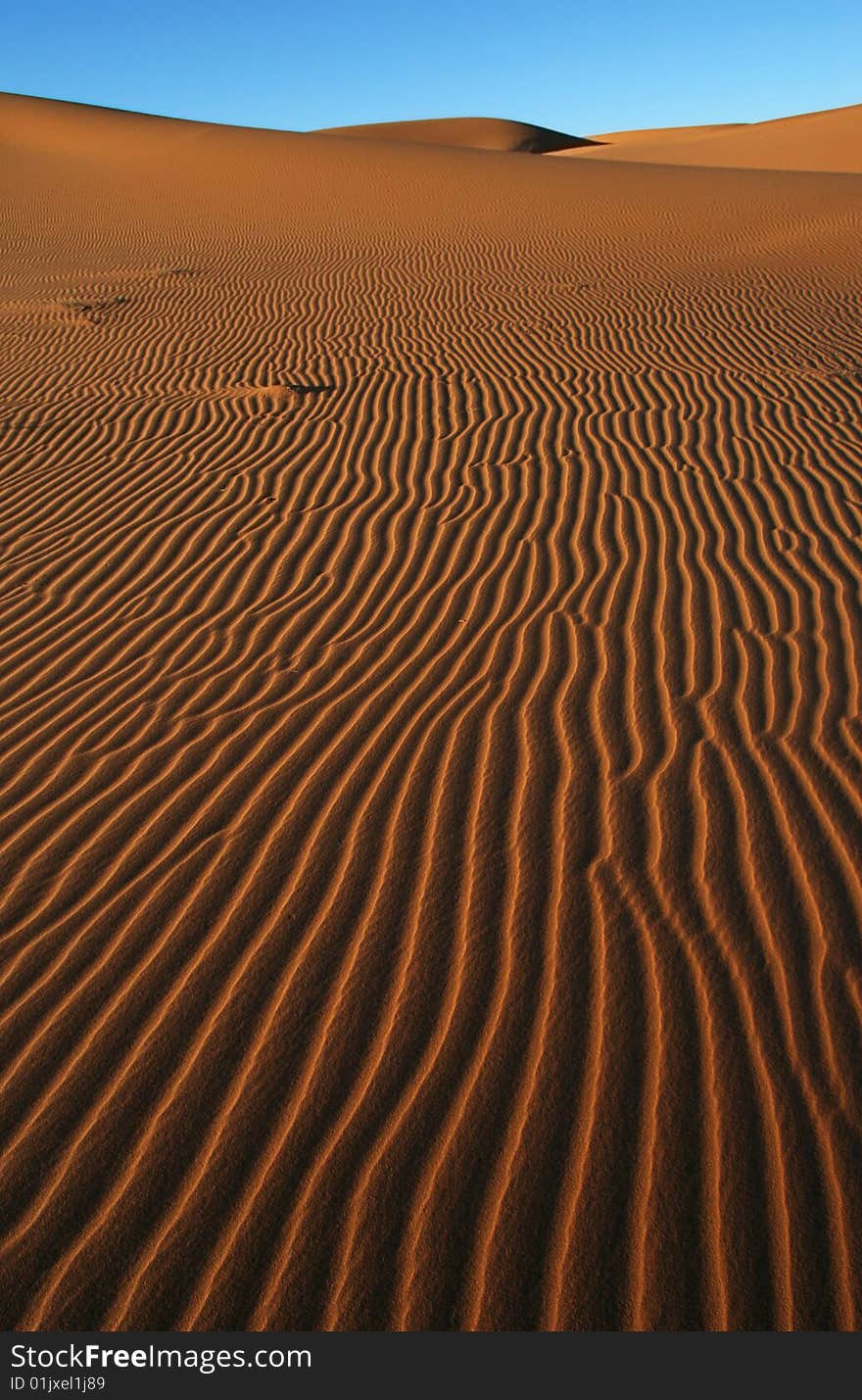 Morning light on the dune surface. Morocco.