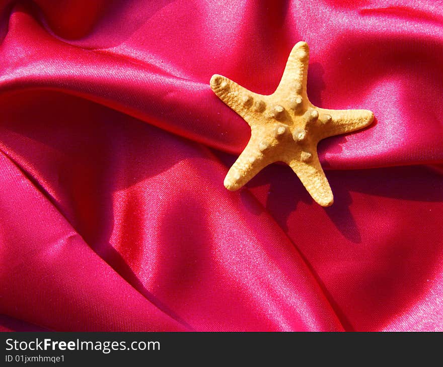 Starfish On Silk Fabric