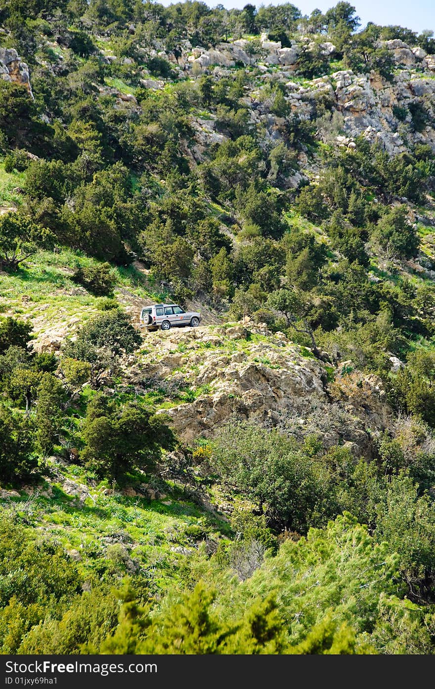 Exploring wildlife at nature reserve. Akamas peninsula. Exploring wildlife at nature reserve. Akamas peninsula.