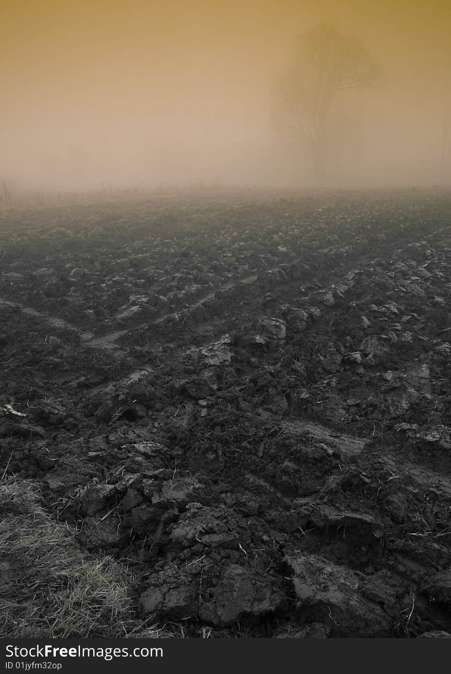 Foggy morning and non-urban scene in southern Poland