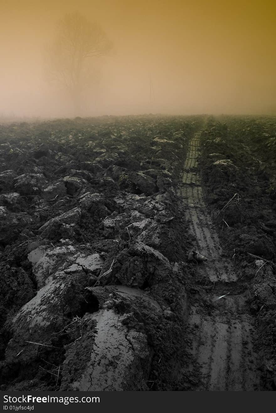 Foggy morning and non-urban scene in southern Poland