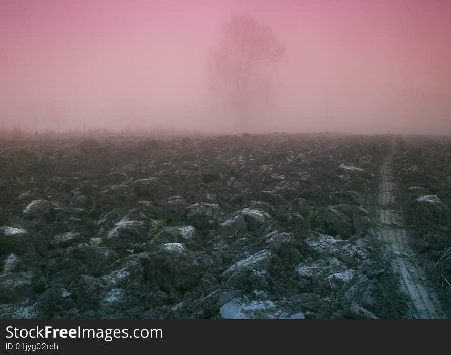 Foggy morning and non-urban scene in southern Poland