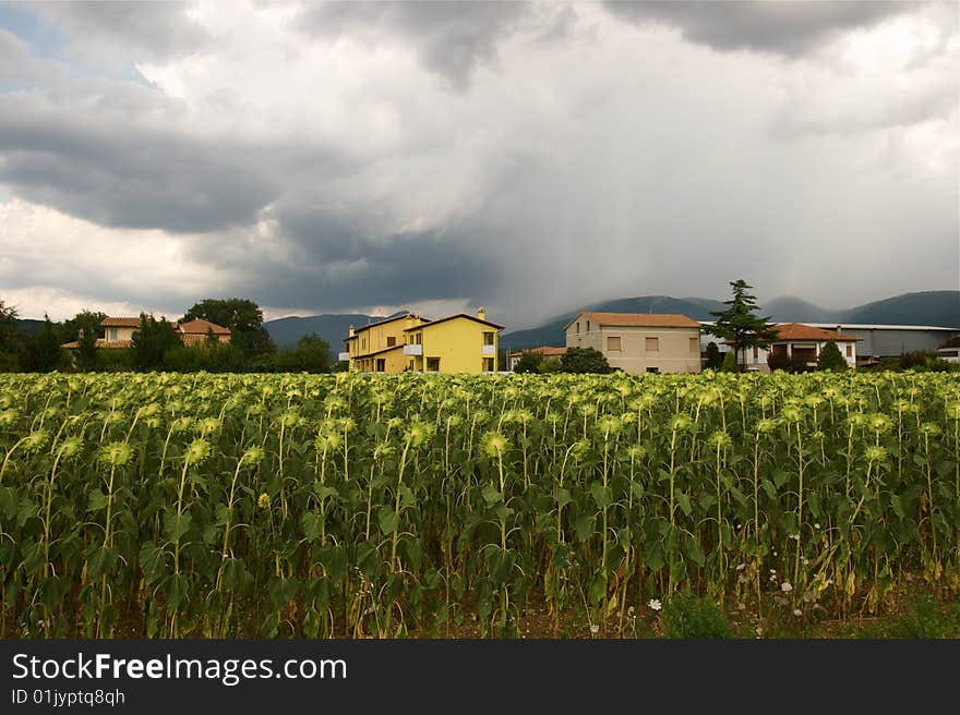 Storm in the city, umbria