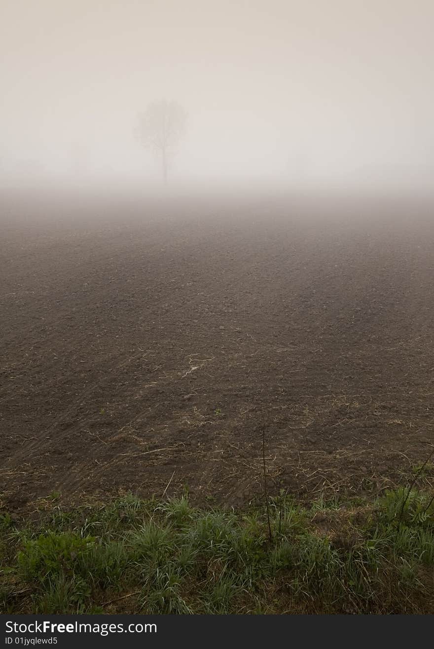 Foggy morning and non-urban scene in southern Poland